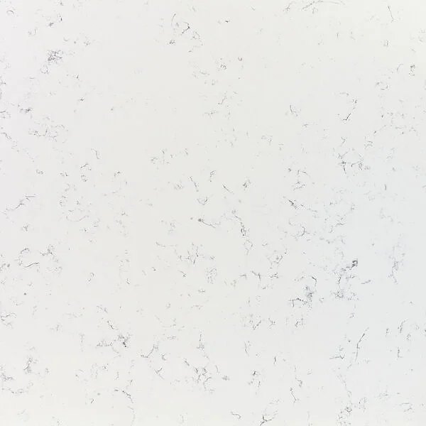 Veined Bernini